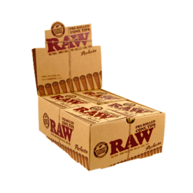 Cone Perfect Raw Filter Box pre-rolled (21)